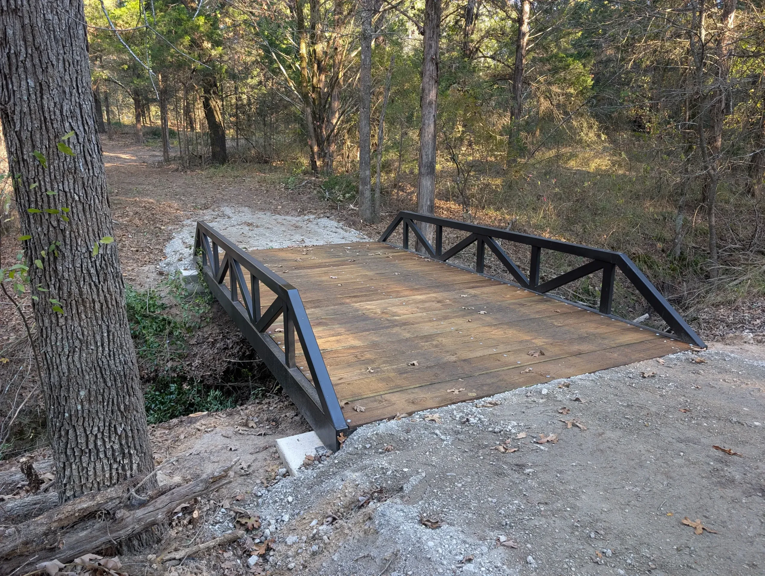 Warren truss pedestrian bridge with timber decking in natural setting
