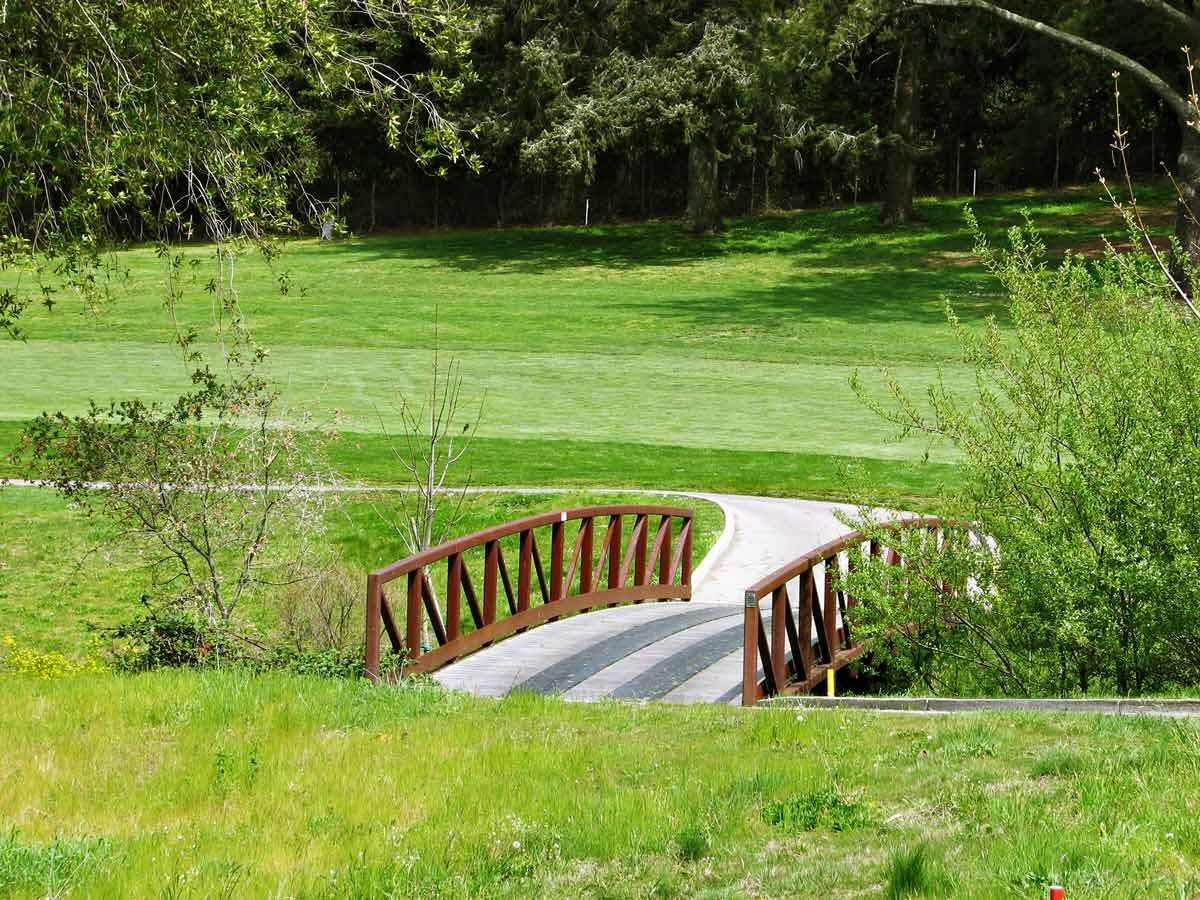 timber pedestrian bridge with arched railings in a scenic park