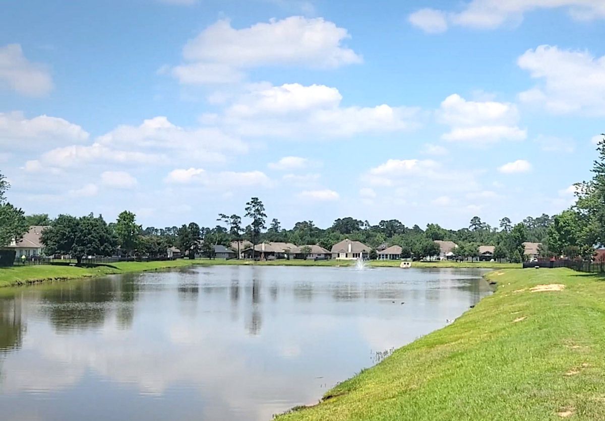 houses surrounding a neighborhood pond