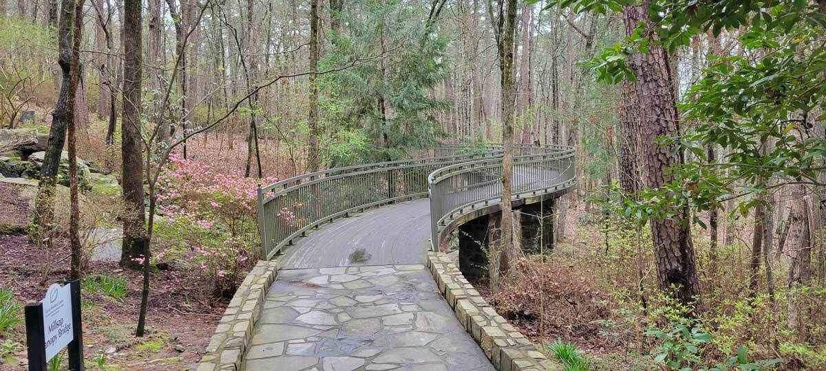 Curved pedestrian bridge with concrete deck and guardrails in a wooded area.